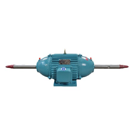 Polishing machine dedicated motor